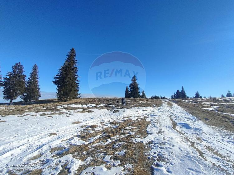 Teren extravilan