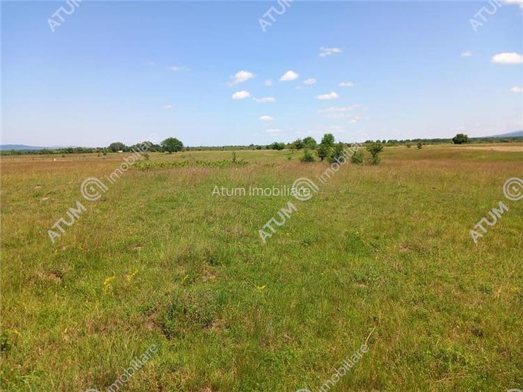 Teren intravilan 5000 mp pe Valea Avrigului, Sibiu - 3