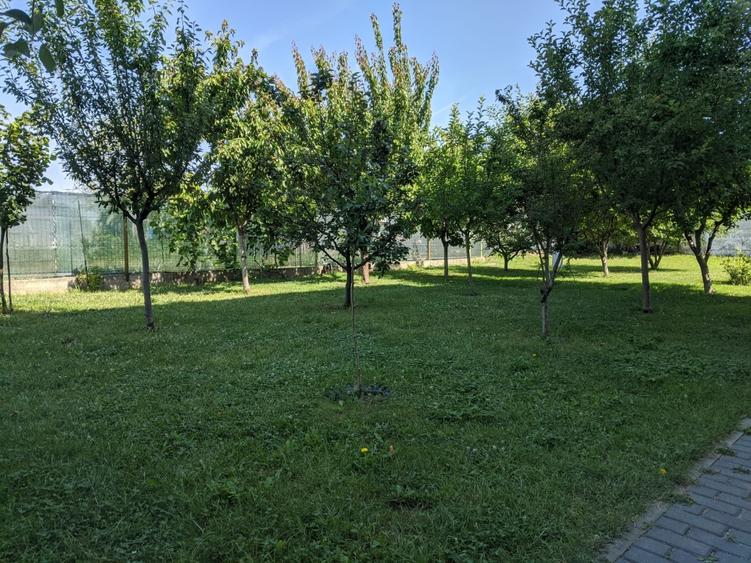 Ocazie: Central, lângă Lidl, Garsoniera spațioasa la curte