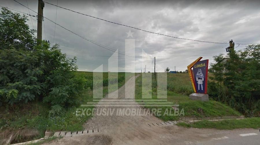 Teren extravilan | Agricol | 8000 mp | 14 ml deschidere | Limba