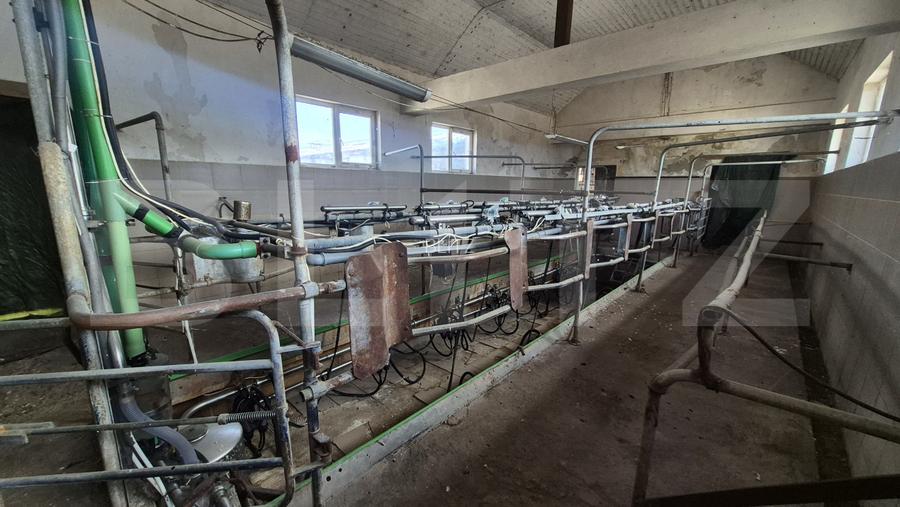 Ferma de bovine de inchiriat, 1800 mp, Lazuri - 3