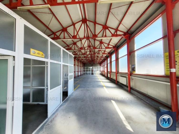 Spatiu industrial de vanzare, zona Exterior Sud, 200 mp #16054