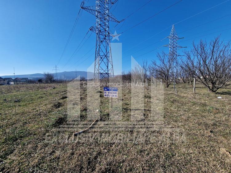 Teren intravilan | De vanzare | 3735 mp | 18 ml deschidere | Arex - 3