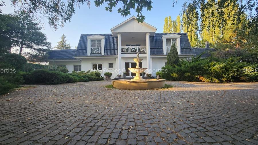 Vila individuala, teren 3000 mp, Iancu Nicolae - 25