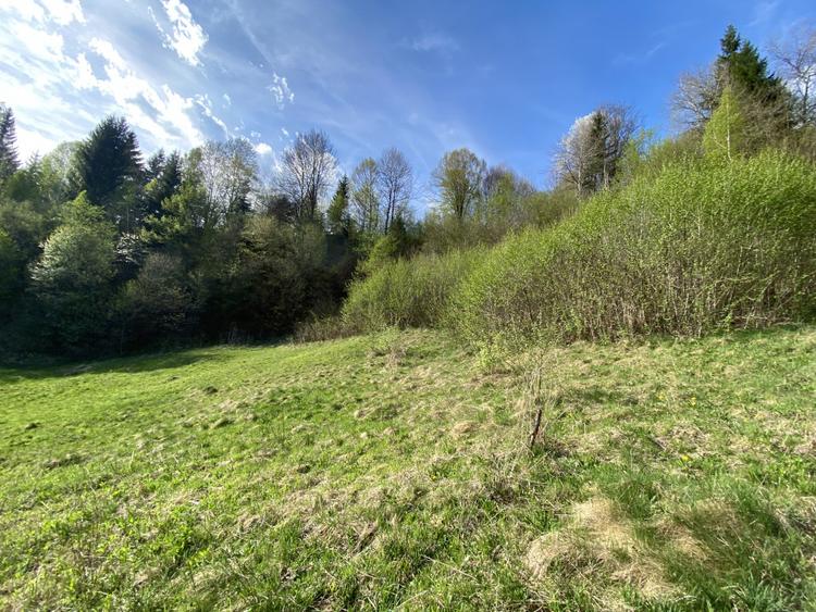 Teren panoramic însorit, utilități, panta mica si pădure, turism sau vacanță