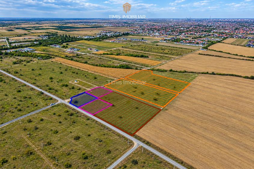 Terenuri 620–767 mp, CF individual – Moșnița Nouă | 0% comision