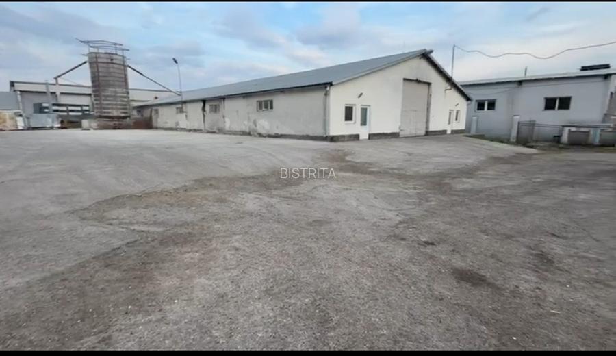 17.000 mp teren intravilan + hale 2.000 mp-Drumul Tărpiului Zona LEONI BISTRITA - 6