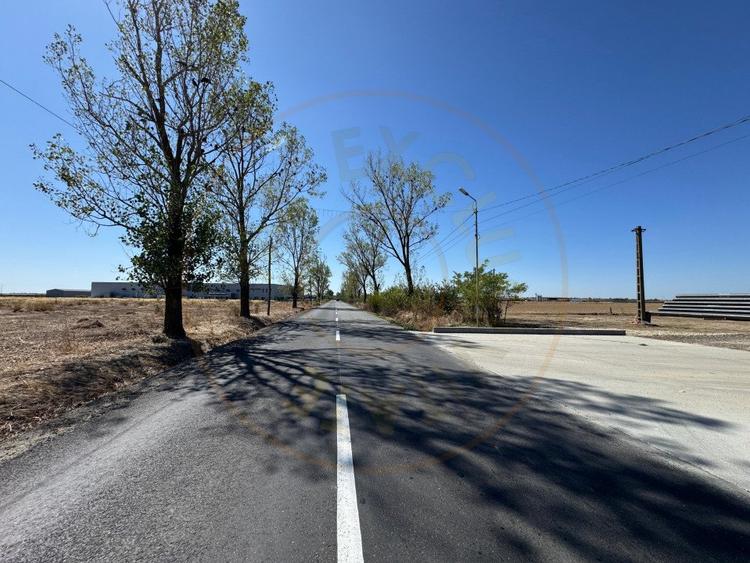 Teren extravilan de vânzare – Căteasca, Argeș | 27.201 mp | Deschidere 58,55 m