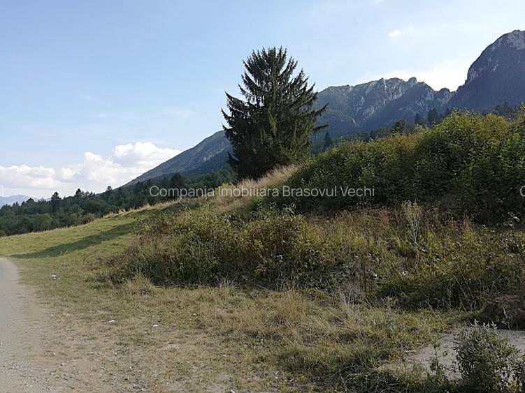 Zarnesti - Plaiul Foii, 4880 mp teren intravilan. - 5
