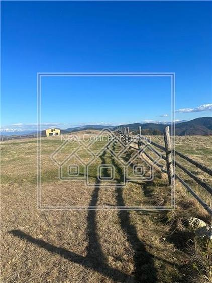 Teren intravilan - 2550 mp, PUZ - 2 parcele - Paltinis, Sibiu - 4