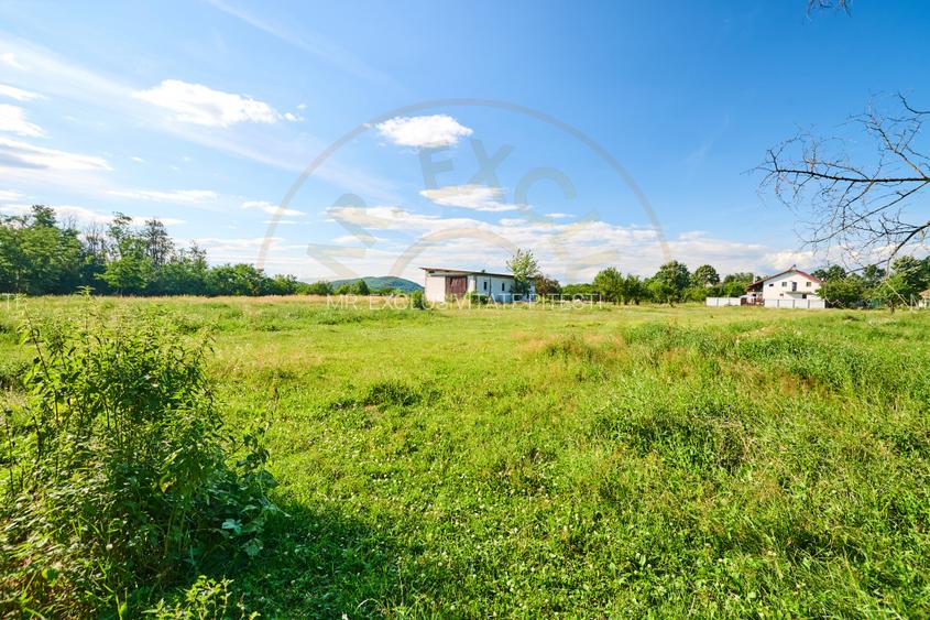 Teren Intravilan 1100 mp + Anexă 120 mp - Budeasa, Calotesti! - 8