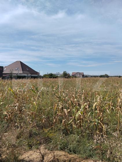 Teren intravilan de 5.400 mp | Matraca, județul Dâmbovița
