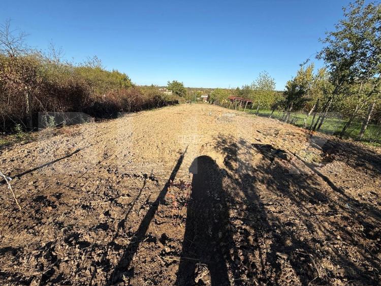 Teren intravilan, 2406 mp, zona Viile Satu Mare - 2