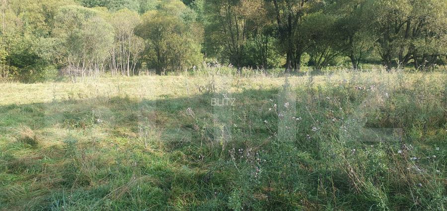 Teren intravilan, 1322 mp, zona Vatra Dornei - 11