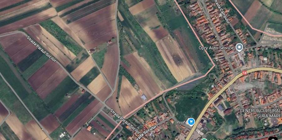 Teren 5000mp cu livada in Sura Mare - panorama deosebita