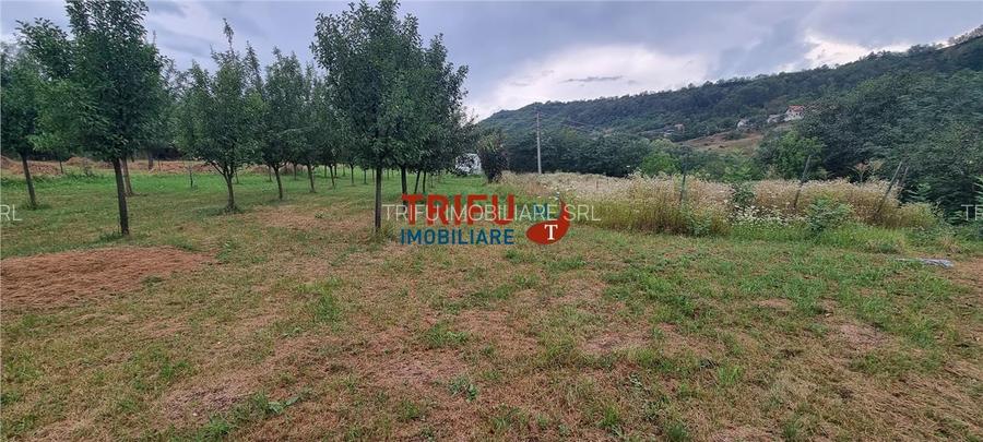 Teren de vanzare, 1785 mp in Paclisa cu utilitati - 5