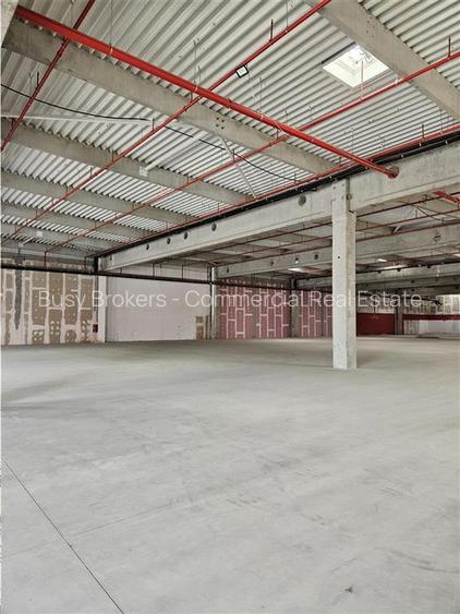 Spatiu Industrial - 7000 mp - Logistica - Productie - Depozitare - Distributie - 10