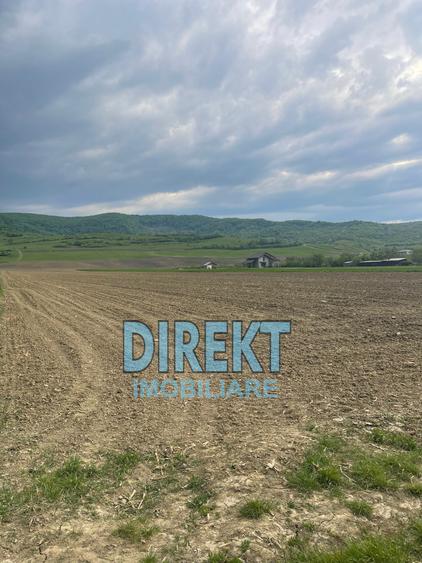 Teren de vanzare, localitatea Arcalia