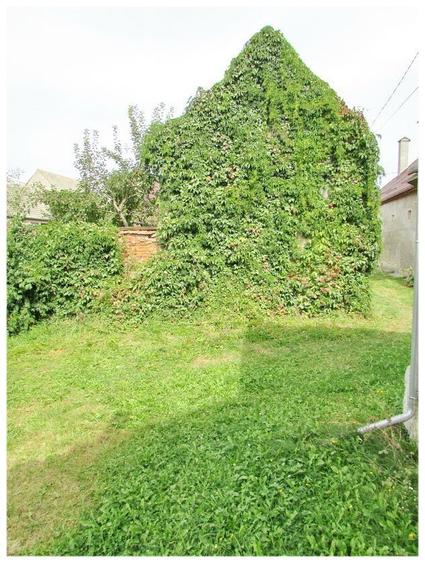 Casa deosebita cu gradina generoasa Vladeni