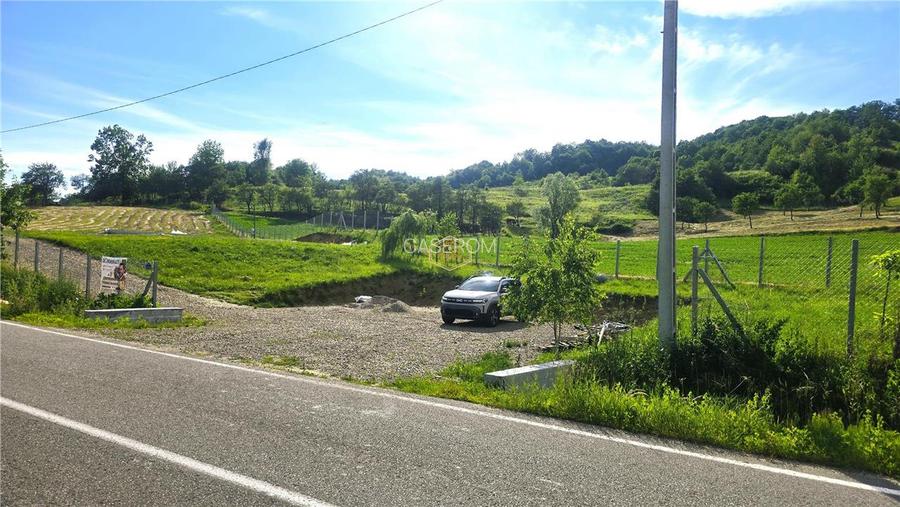 Teren 5.194 m² | 181 metri front la strada Principala (DJ 182C) | Servicii - 8
