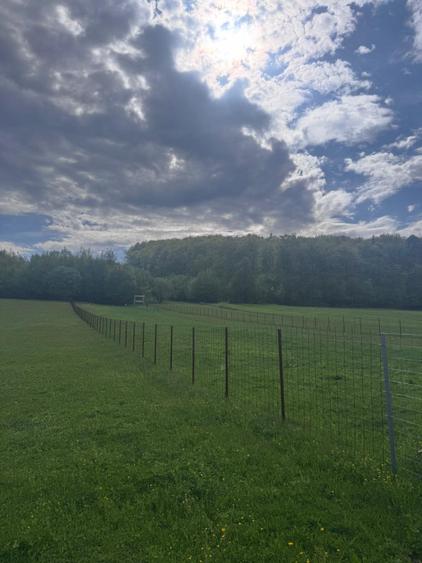 Teren intravilan, 2500mp, Voievodeasa, Marginea