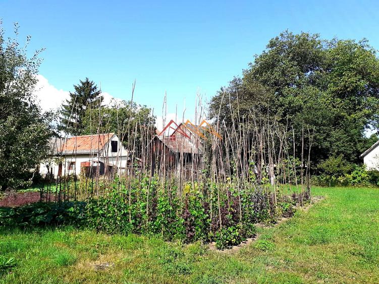 Casa 3 camere, teren 3625 mp, toate utilitatile, Sacele, Brasov