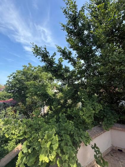 Vila 6 Camere P/M Teren 1000mp Poiana - 47