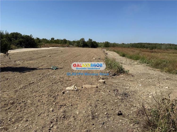 Vanzare teren 2960 mp, langa Ploiesti, in Lipanesti - 7