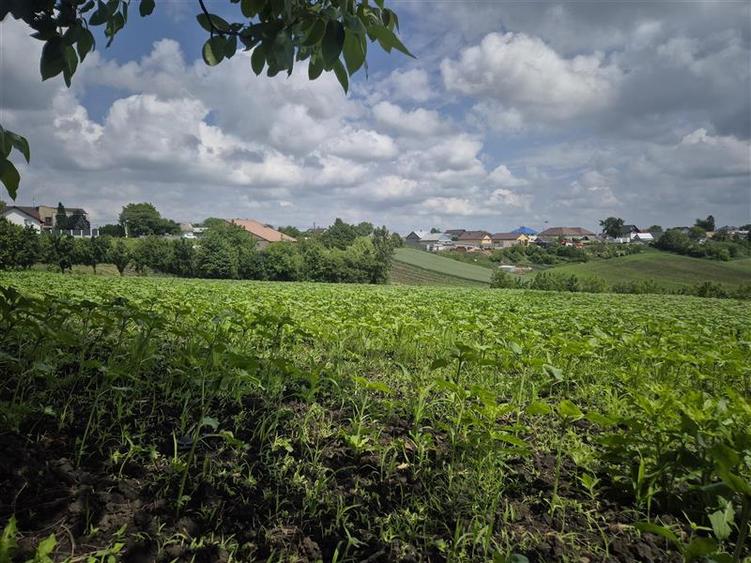 Teren intravilan Moara Nica - zona Scolii
