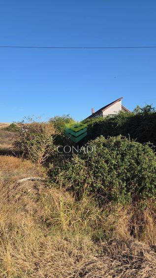 Teren 3100mp Simnicu de Sus | Romanesti |