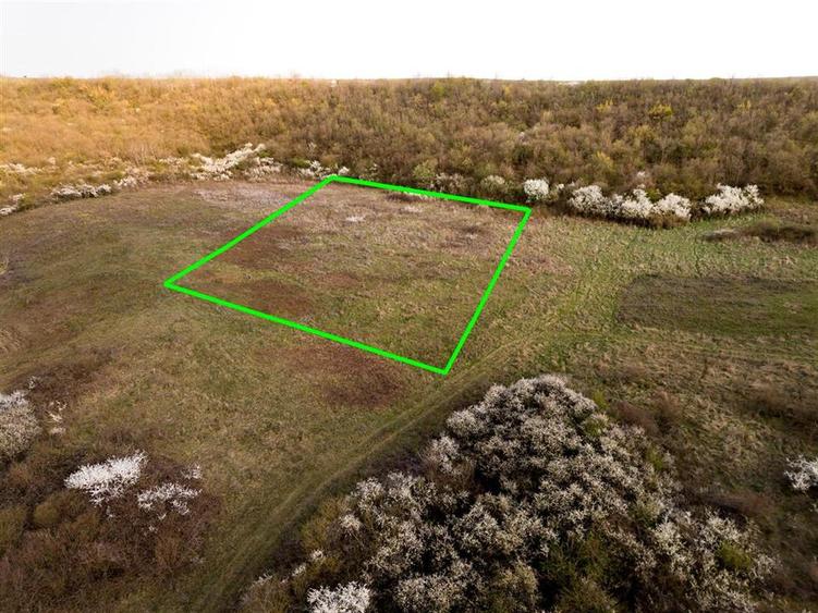 RECO Teren exclusivist 1800 mp in Betfia – panorama superba