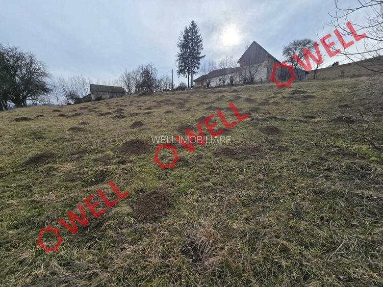 Teren extravilan de vânzare în Sărămaș, pe punctul de numit ,,PARAIE,, - 2