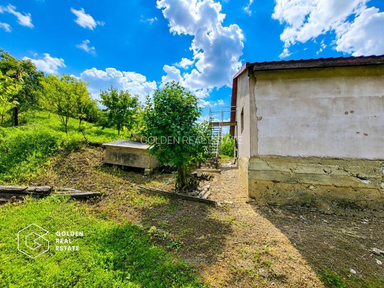 Casa P+M, teren 1440 mp, oras Lipova - 5