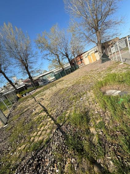Inchiriere Teren Mamaia - zona Butoaie - 318 mp
