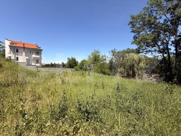 Teren intravilan 4.542 mp la principală, front 37 m, Leamna de Jos - 5