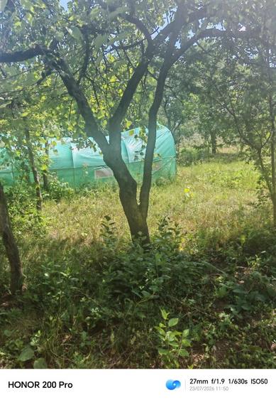 De vânzare: Gospodărie tradițională cu 2 case și teren 1.000 mp – Sat Băhnișoara