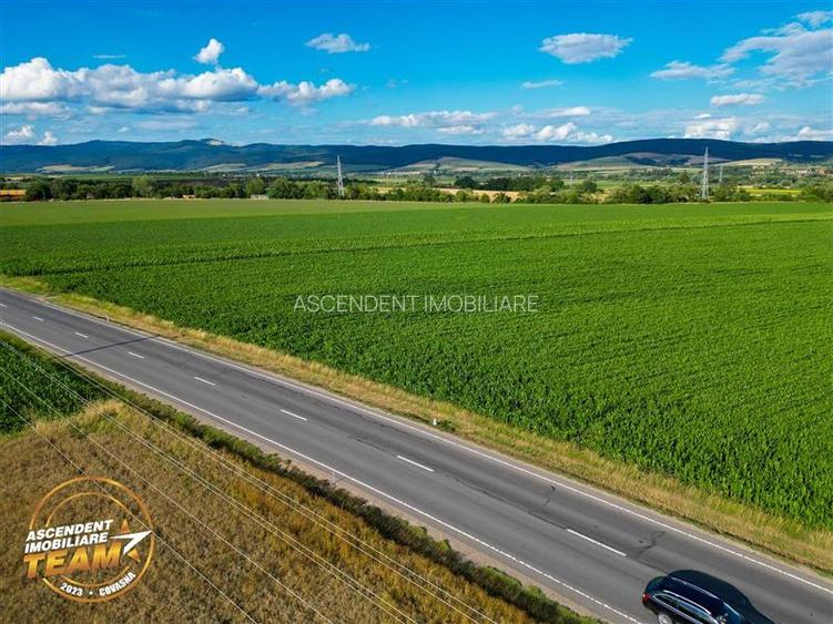 FILM! 30.200 mp teren intravilan,recomandat: investitie/exploatare agricola,Vale - 3