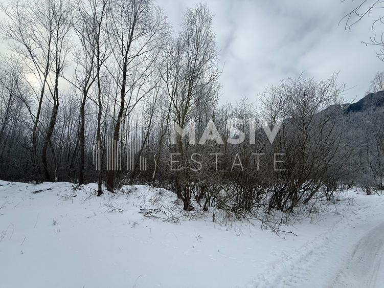 Teren intravilan 6.093 mp – Piatra Arsă, Bușteni, dezvoltare turistică premium!