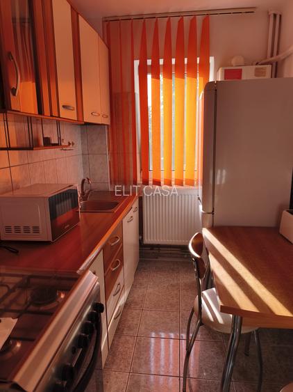 Apartament cu 2 camere, etaj 1/4, zona Alexandru cel Bun - 5