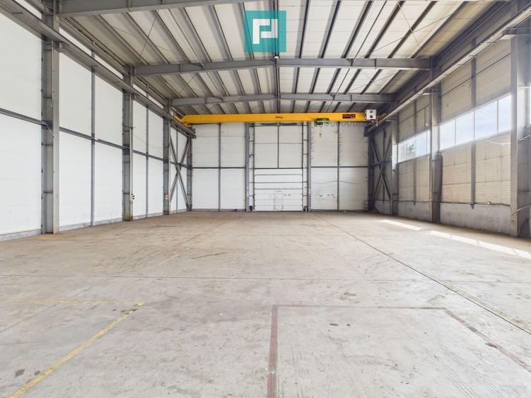 Hală industrială cu pod rulant de 3 tone în Arad