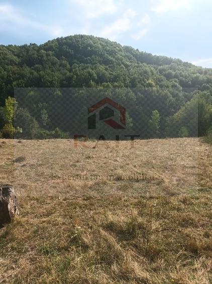 Teren extravilan de vânzare 11.740 mp Corbeni Turburea Argeș