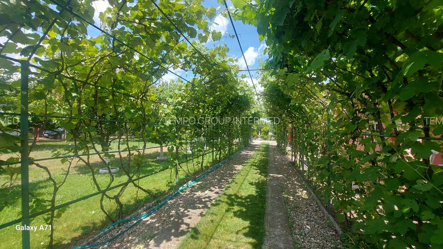 Snagov- Gruiu- Santul Floresti -Proprietate cu stil pentru oameni gospodari! - 2