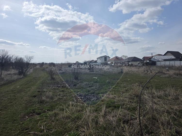 Teren  Balotesti Dumbraveni  16.700 mp /8350 mp /loturi 500 mp - 2