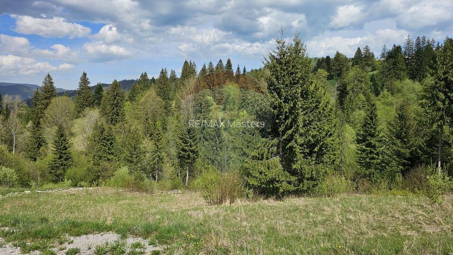 Teren 4048mp Campulung Moldovenesc, Strada Izvorul Alb, Suceava - 2
