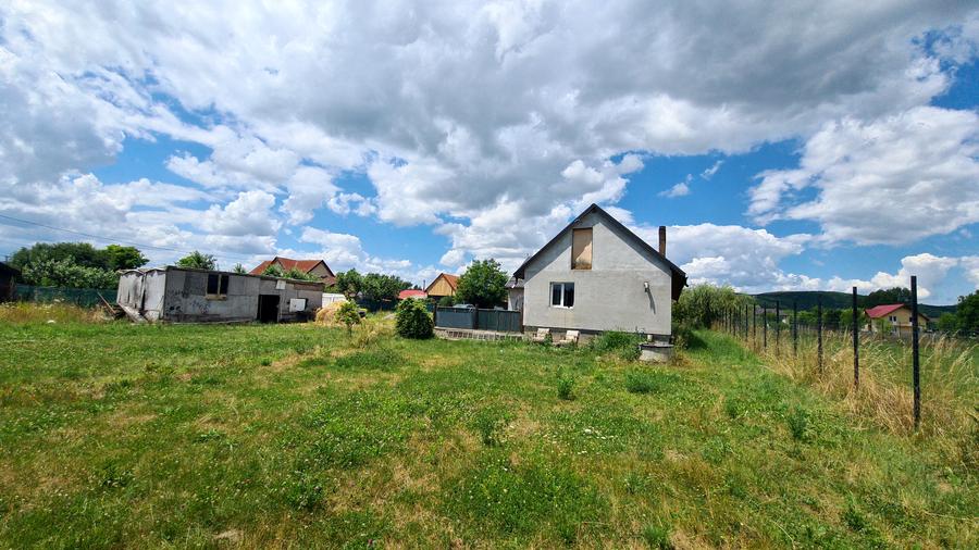 CASA DE VANZARE PODUL OLTULUI CU ACCES PRIVAT