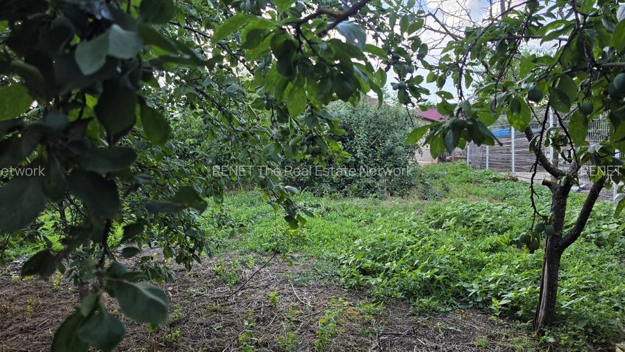 Casă cu potențial, 4 camere, lângă pădure-Jud Giurgiu-Mihai Bravu. - 8
