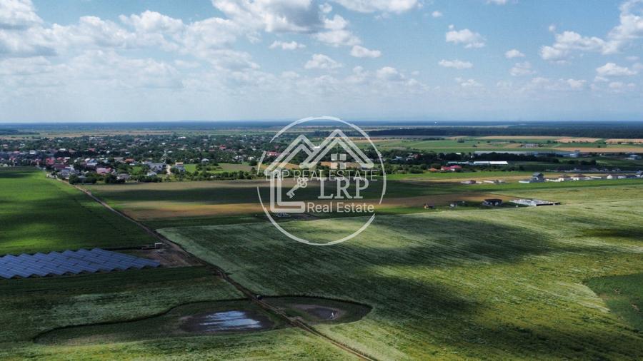 Teren Intravilan 9.918 mp Creața Dascălu, T66– Parcelabil - 2