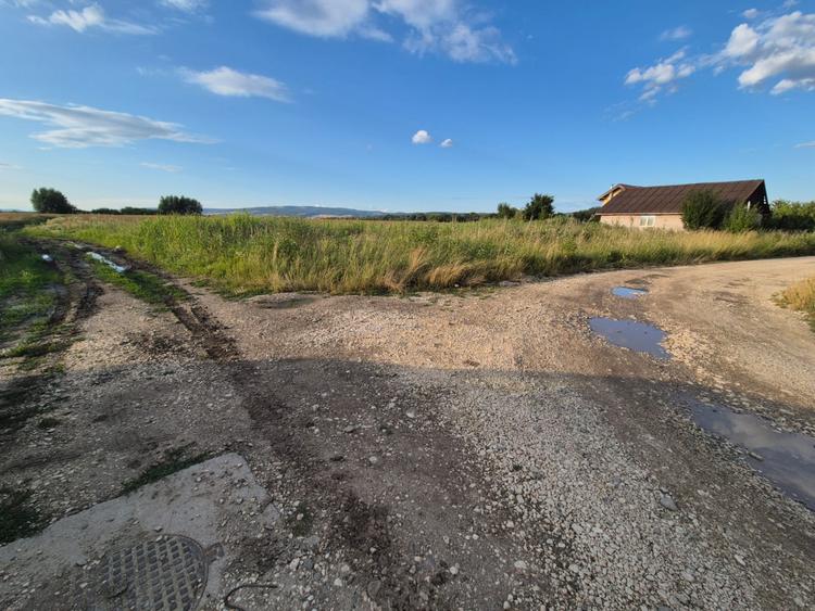 Teren 10.000 mp str. Lalelelor, Bod, Brasov pentru case