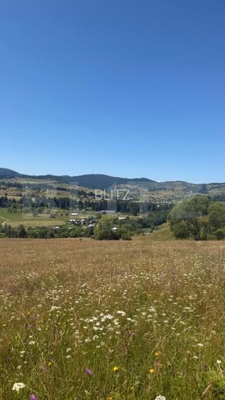 Teren extravilan,  5 hectare, Șaru Dornei - 2