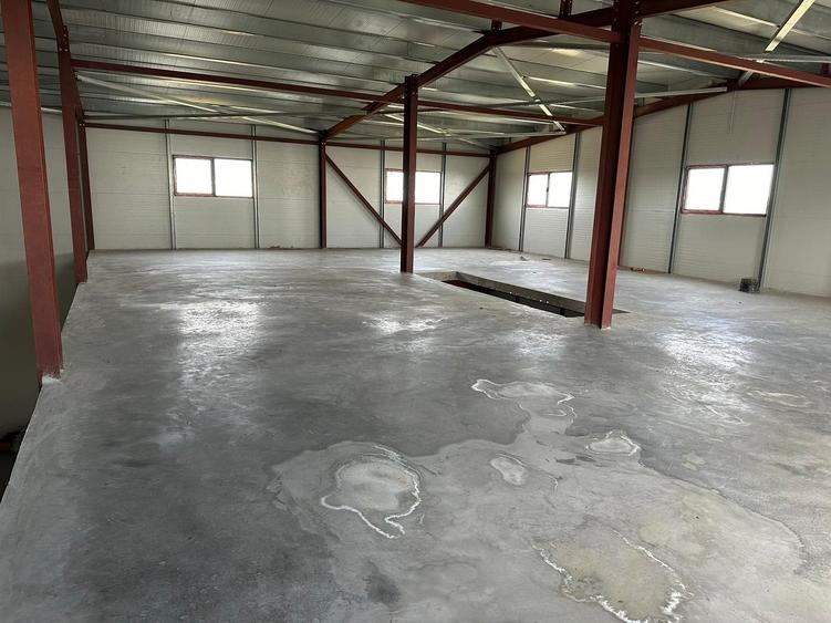 Zona Drumul Intre Tarlale - hala 450mp si birouri 200mp